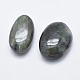 Natural Labradorite Beads G-K246-54-2