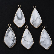 Природные подвески Howlite G-Q998-029C