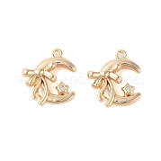Подвески из латуни с прозрачным стеклом KK-N254-54G