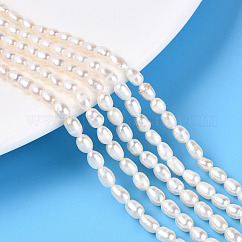 Hebras de perlas de agua dulce cultivadas naturales, arroz, grado ab, blanco cremoso, 3~6.5x3~4mm, agujero: 0.6 mm, aproximamente 72~75 pcs / cadena, 13.78~14.17 pulgada (35~35.5 cm)