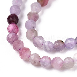Bolas de Piedras Preciosas mixta naturales hebras&nbsp;G-D080-A01-03-19