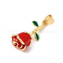 Messing Anhänger & Charms&nbsp;KK-I359-13G