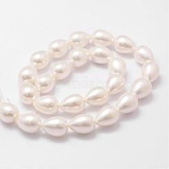 Arcobaleno placcato shell perle perline fili&nbsp;BSHE-L027-01-10x13