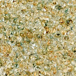 6/0 perline di vetro colorate sfumate&nbsp;SEED-N007-36E