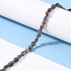 Natürliche Eis Obsidian Perlen Stränge&nbsp;G-G018-34