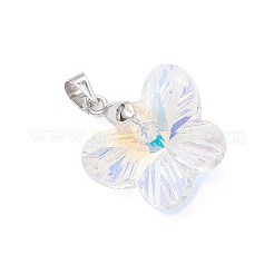 Ab Farbe überzogen Glas-Anhänger&nbsp;PALLOY-JF04594-02
