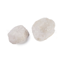 Spécimen minéral de corne d'abondance de géode d'agate naturelle&nbsp;DJEW-M014-01C