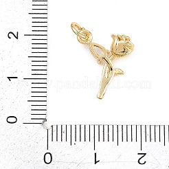 Valentinstag Messing Micro Pave klare Zirkonia Anhänger&nbsp;KK-D258-43G-01