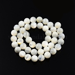 Hilos de cuentas de concha blanca natural&nbsp;SSHEL-N003-144H-01