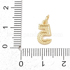 Breloques en laiton&nbsp;KK-G544-10G-05