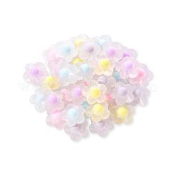 50 pz 5 colori perline acriliche trasparenti&nbsp;TACR-CC0001-03