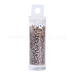 Perles miyuki delica&nbsp;SEED-JP0008-DB1460
