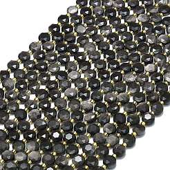 Natürliche silberne Obsidianperlenstränge&nbsp;G-C116-A55-02
