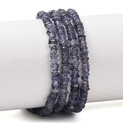 Naturperlen Stränge iolite&nbsp;G-K427-C01-01