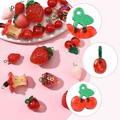 Colgantes de resina 20pcs 10 estilos&nbsp;RESI-FS0002-10