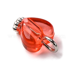 Transparenten Acryl-Anhänger&nbsp;PALLOY-JF04417