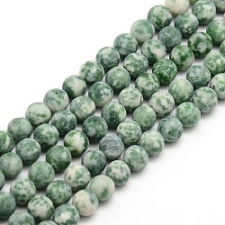 Gefrostet natürlichen grünen Fleck Jaspis Runde Perlenstränge, 8 mm, Bohrung: 1 mm, ca. 47~49 Stk. / Strang, 14.9~15.6 Zoll