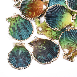 Peinture en aérosol et pendentifs coquille de mer plaqués, avec les accessoires en fer, or clair, colorées, 40~61x36~54x3~10mm, Trou: 2mm