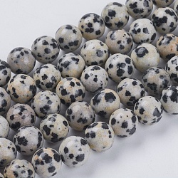 Chapelets de perles en jaspe de dalmation naturelle, ronde, 8mm, Trou: 1mm, Environ 24 pcs/chapelet, 7.6 pouce
