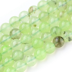 Chapelets de perles en préhnite naturelle, ronde, 6.5~7mm, Trou: 1mm, Environ 62 pcs/chapelet, 15.3~15.5 pouce (39~39.5)