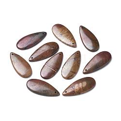 Натуральный камень пикассо / подвески пикассо яшма, слеза, 41~42x18~19x3~5 мм, отверстие : 1.5 мм