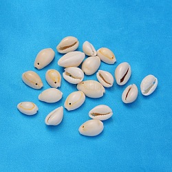 Perles de coquillage cauri naturelles, couleur de coquillage, 10~16x10~11x6~9mm, Trou: 2mm, environ 618 pcs/500 g