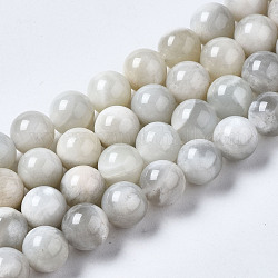 Naturelles perles pierre de lune blanc brins, ronde, 8.5mm, Trou: 0.9mm, Environ 46 pcs/chapelet, 15.24 pouce (38.7 cm)