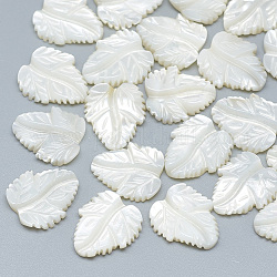 Cabochon in madreperla conchiglia bianca naturale, foglia, 13~14x10~12x2~3mm