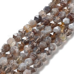Chapelets de perles en agate naturelle du Botswana, facette, étoiles coupées perles rondes, 5.5~6x5.5~6x5.5~6mm, Trou: 1mm, Environ 66 pcs/chapelet, 15.35 pouce (39 cm)