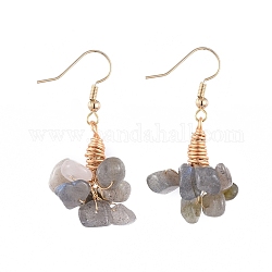 Natural Labradorite Clip Beads Dangle Cluster Earrings, with Brass Earring Findings, 43mm, Pin: 0.5mm