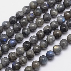 Natural Labradorite Round Bead Strands, 10mm, Hole: 1mm, about 40pcs/strand, 15.5 inch