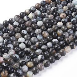 Brins de perles d'amazonite de fleurs naturelles, ronde, 6mm, Trou: 1mm, Environ 59 pcs/chapelet, 14.96 pouce (38 cm)