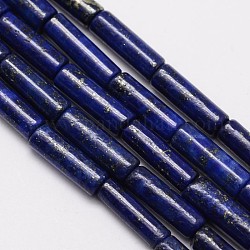 Lapis lazuli naturelles colonne brins de perles, teinte, 13x4mm, Trou: 1mm, Environ 30 pcs/chapelet, 15.3 pouce
