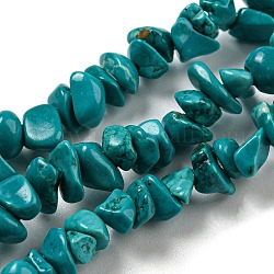 Natural Howlite Beads Strands, Dyed, Nuggets, 2~8.5x3.5~10x2~8mm, Hole: 0.8mm, 13.78 inch(35cm)