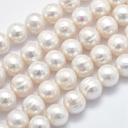 Fili di perle di perle d'acqua dolce coltivate naturali, tondo, bianco floreale, 10~11mm, Foro: 0.8 mm, circa 42pcs/filo, 14.7 pollice