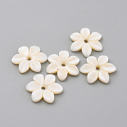 Perles de coquillages naturels d'eau douce, fleur, floral blanc, 16x18x3mm, Trou: 2mm