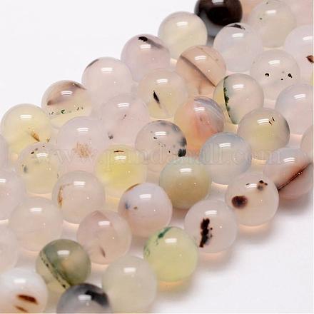 Natural Dendritic Agate Bead Strands G-G880-01-10mm-1