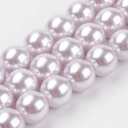 Chapelets de perles de coquille X-BSHE-K011-8mm-MA722-1