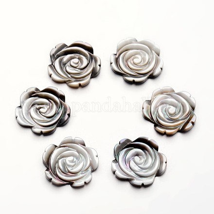 Cabuchones de concha de labio negro de flores de rosa SSHEL-I013-34-1