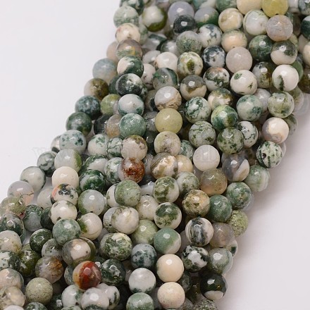 Natural Tree Agate Bead Strands G-G882-8mm-E02-1