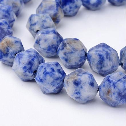 Brins de perles de jaspe de tache bleue naturelle G-F332-04-1
