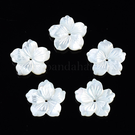 Perlas de concha de nácar de concha blanca natural SSHEL-T014-42C-1