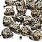 Natural Dalmatian Jasper Pendants, with Stainless Steel Color Plated 201 Stainless Steel Snap on Bails, Skull, 18~18.5x9.5~10x20~21mm, Hole: 7.5x4.5mm