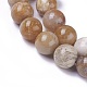 Natural Fossil Coral Beads Strands G-F648-01-D-3