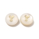 Perles de coquillages naturels d'eau douce BSHE-E026-02-2