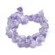 Electroplated Natural Amethyst Beads Strands G-I213-43-2
