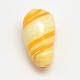 Dyed Natural Spiral Shell Beads SHEL-A003-C04-2