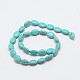 Chapelets de perles ovale en turquoise synthétique teintée G-P083-89G-2