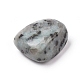 Natürliche Sesam Jaspis / Kiwi Jaspis Perlen G-K302-A01-2