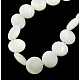 Chapelets de perles de coquillage naturel X-PBB-XXBK027Y-13-1